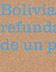 miniatura de Bolivia: la reconstrucción de un país