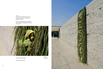 cover of Barcelona Floral Arquitecture